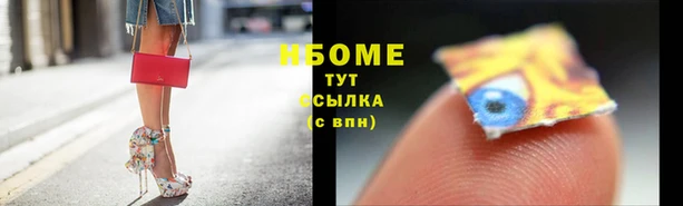 шишки Алексин