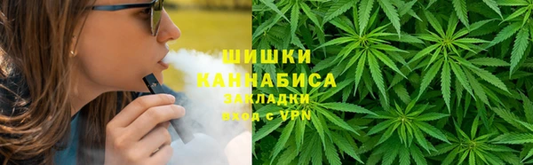 эйфоретик Алзамай