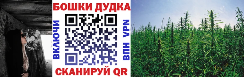Бошки Шишки индика Дмитриев